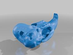 Ctenomys Fulvus- 3D Printer Model