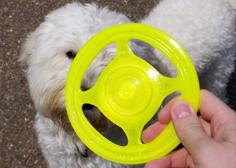 Frisbee 3D Printer Model