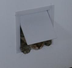 Cat Door 3D Printer Model