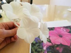 Petunia Flower 3D Printer Model