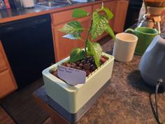 Hydroponic Window Planter 3D Printer Model