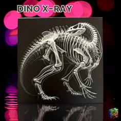 Dino X-Ray 3D Printer Model