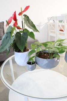 Modern Plant Pot 3D Printer Model