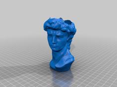 David Head Planter With Drainage Hole 3D Printer Model