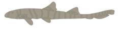 Bamboo Shark Wall Decoration 3D Printer Model