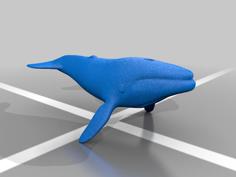 Small Blue Whale 3D Printer Model