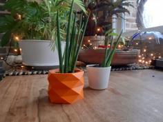 Geometric Flowerpot_2 3D Printer Model