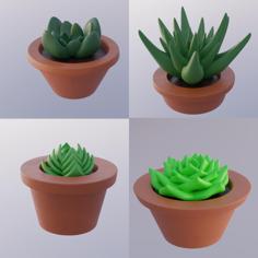 Succulent Plants (In Pots) 3D Printer Model