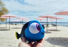 Multi-Color Baby Dory 3D Printer Model