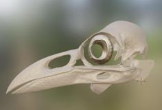 Raven Skull Mask 3D Printer Model