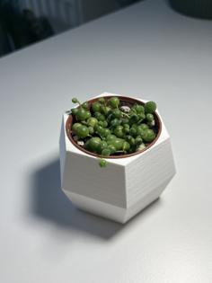 Hexagonal Flower Pot 3D Printer Model