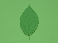 Beech Tree Leaf 3D Printer Model