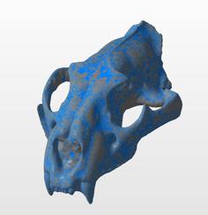 Panther Skull (3D Scan) 3D Printer Model