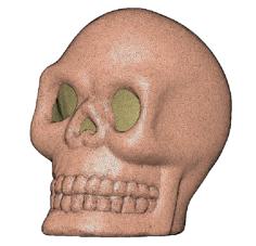 Skull / Human Skull / Halloween Skull / Hollow Skull 3D Printer Model