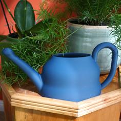 Watering Can, But Tea Pot Design 3D Printer Model