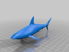 Reef Shark From Toucan Virtual Museum 3D Printer Model