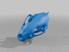 Wolverine Skull 3D Printer Model