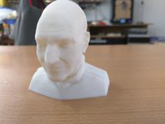 Patrick Stewart Bust – Splitted 3D Printer Model