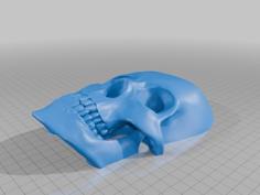 Halloween Decoration: Vampire Skull Relief 3D Printer Model