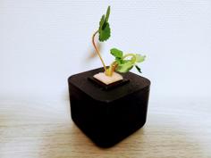 S (Small Hydroponic Planter) 3D Printer Model