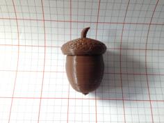 Acorn 3D Printer Model