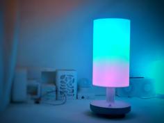 Portable Mood Lamp With Built-in Speaker 3D Printer Model