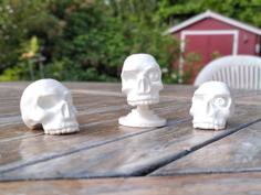 Skully The One Eye Adventurer 3D Printer Model