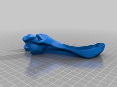 Complete Hammerhead Skull 3D Printer Model