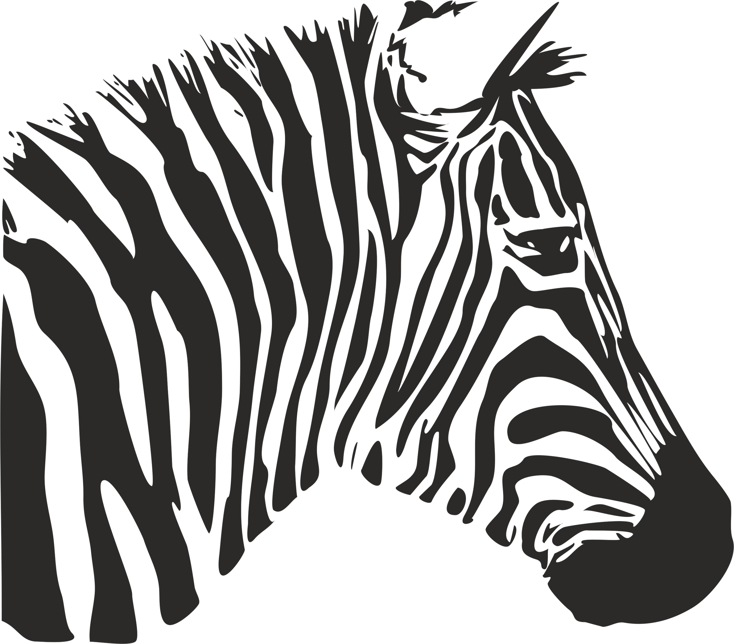 Estêncil de zebra