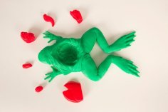 The Frog Dissection Kit 3D Printer Model