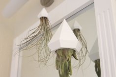 Air Plant Holder 3D Printer Model