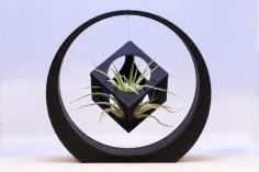 Floating Cube Planter In The Ring (suits Airplants) 3D Printer Model