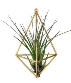 Air Plant Wall Mount – Plant Hanger 3D Printer Model