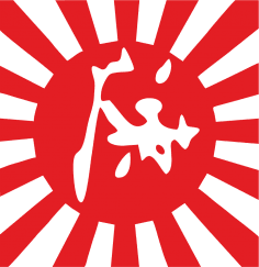 Вектор флага Японии