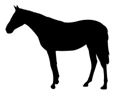 Файл dxf силуэта стоящей лошади