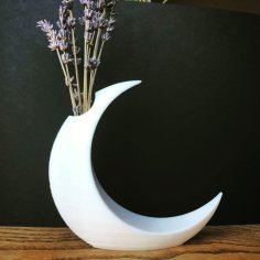 Minimalist Moon Vase 3D Printer Model