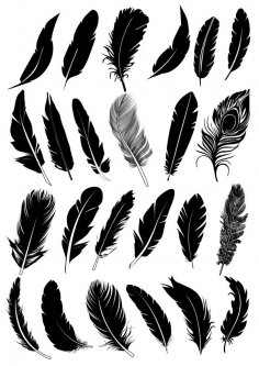 Black Feather Vector Collection Free Vector