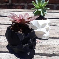 Low Poly Skull Pot 3D Printer Model