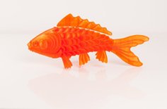 ‘On Such A Full Sea’ Koi Fish 3D Printer Model