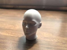 Human Head – Female 3D Printer Model