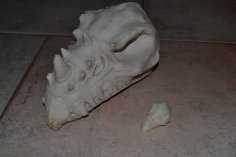 Dragon Skull 3D Printer Model