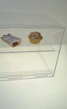 Laser Cut Two Part Display Case