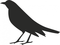 Halloween Crow Silhouette Free Vector