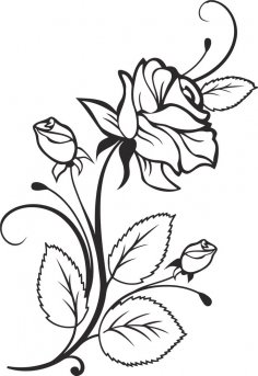 Desenho Vetorial Rosa