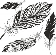 Feather Set Free Vector
