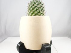 Modern Desert Planter 3D Printer Model