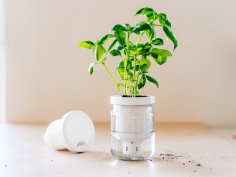 Jargar – Self-Watering Planter In A Jar 3D Printer Model