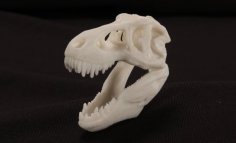 MakerBot Pocket T-Rex Skull 3D Printer Model