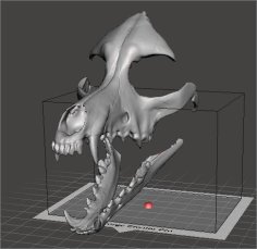 Dog Skull Mask 3D Printer Model