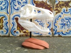 T-Rex Skull With Rock Base 3D Printer Model